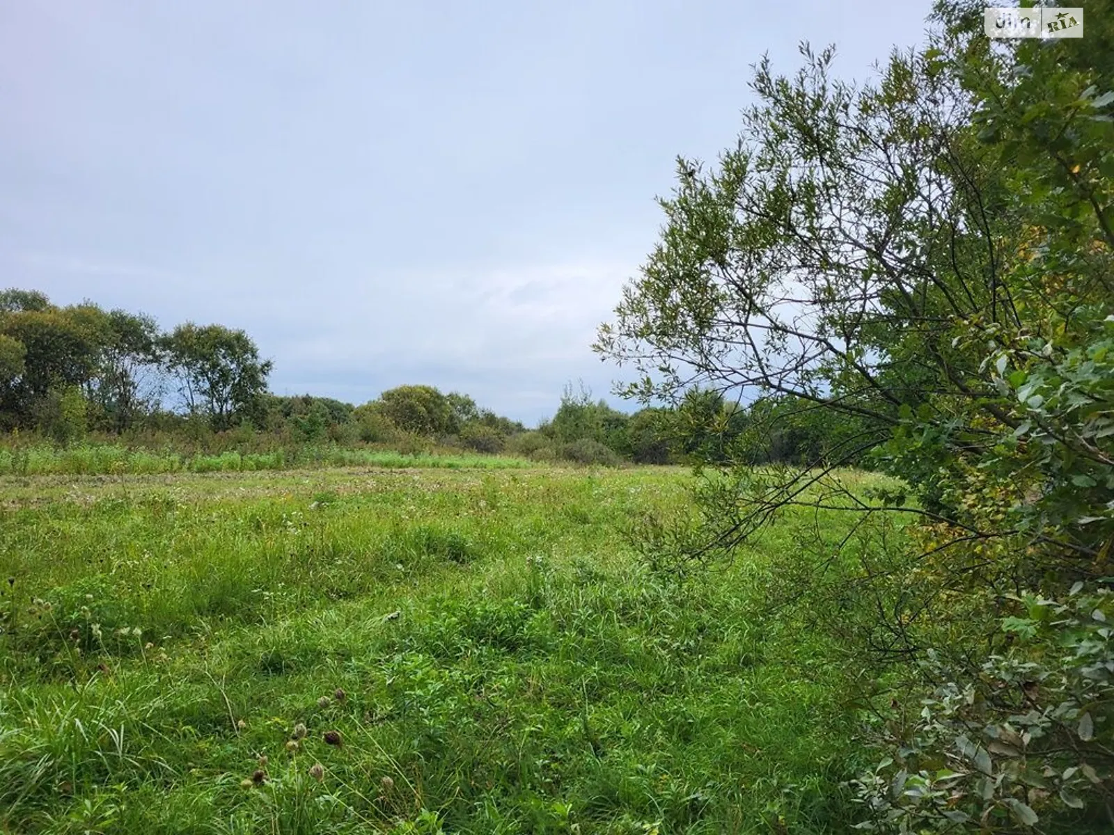 Татаринов, цена: 48935 грн - фото 1