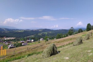 Продажа земли сельскохозяйственного назначения, Ивано-Франковская, Яблоница (Верховина)