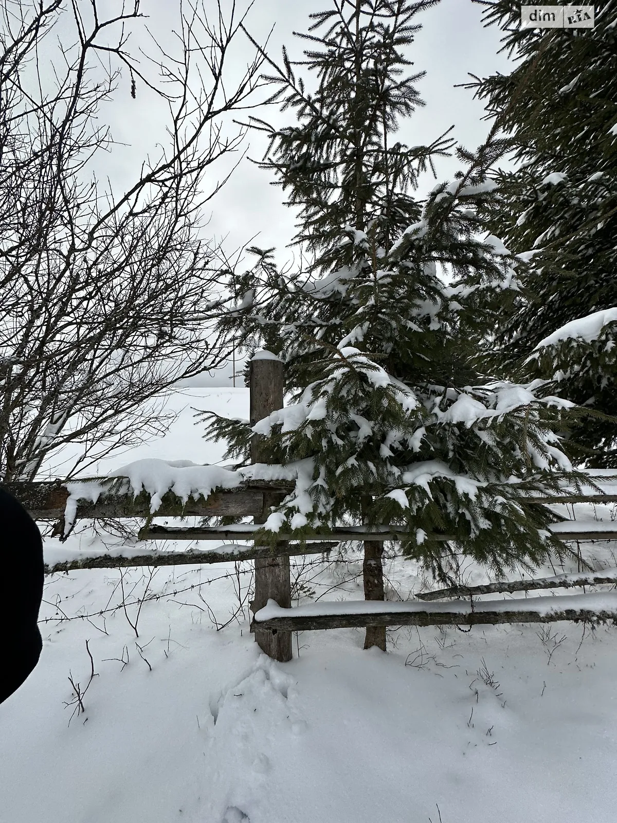 Продается земельный участок 20 соток в Ивано-Франковской области, цена: 80000 $ - фото 1