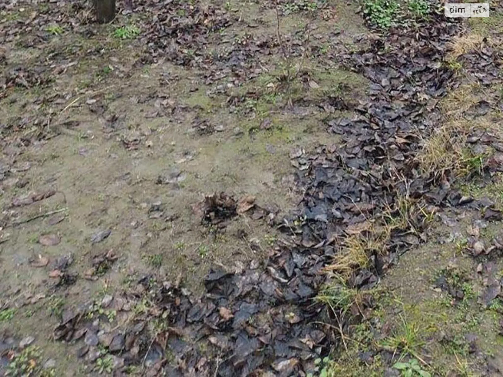 ул. Майская, 27 Кулибаба, цена: 4500 $ - фото 1