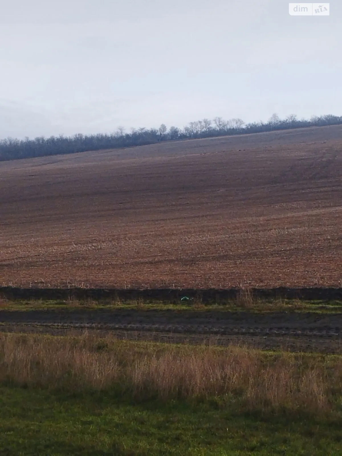 Сдается в аренду земельный участок 15 соток в Одесской области, цена: 39913 грн - фото 1