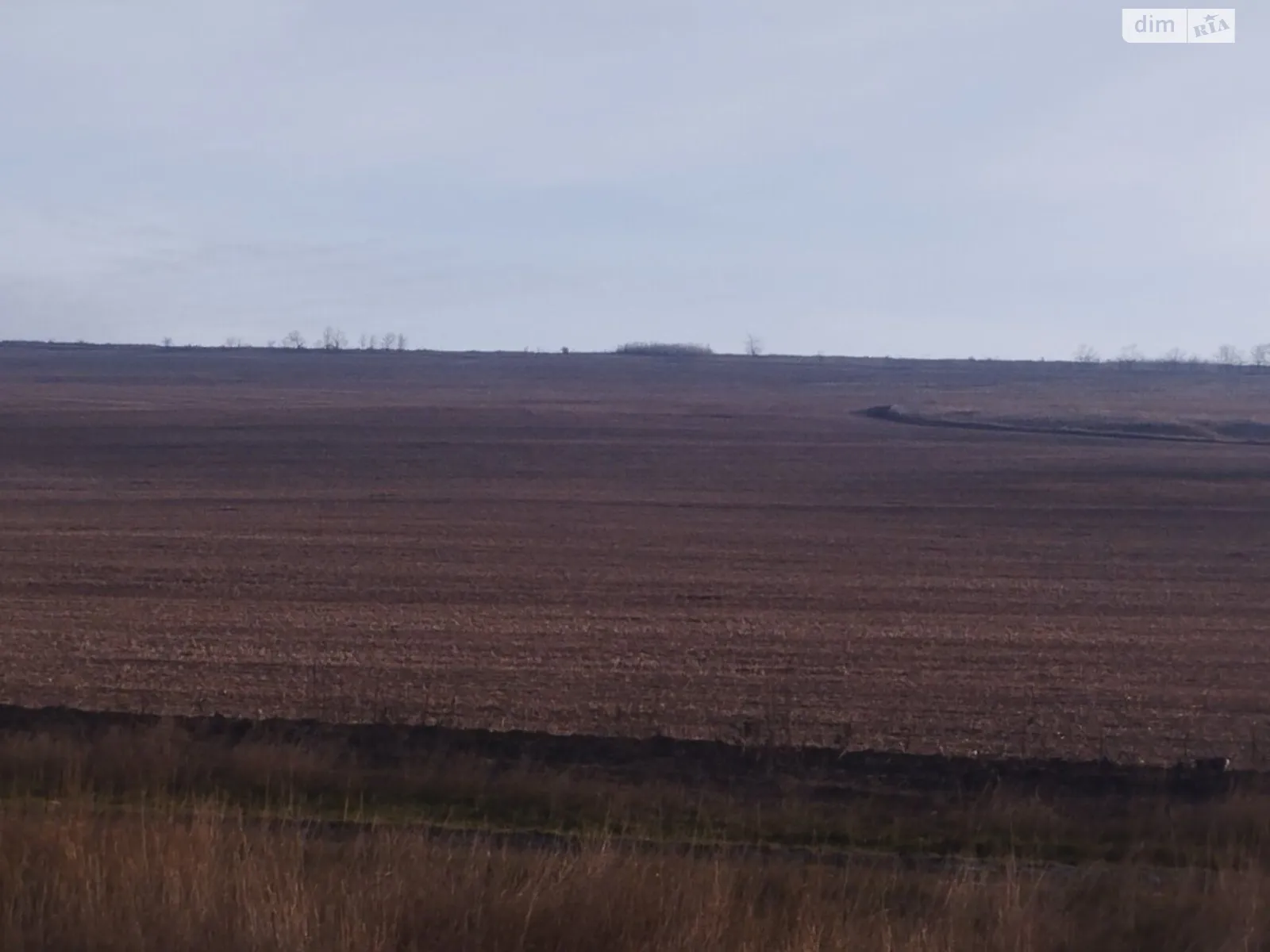 Сдается в аренду земельный участок 13.27 соток в Одесской области, цена: 35712 грн - фото 1