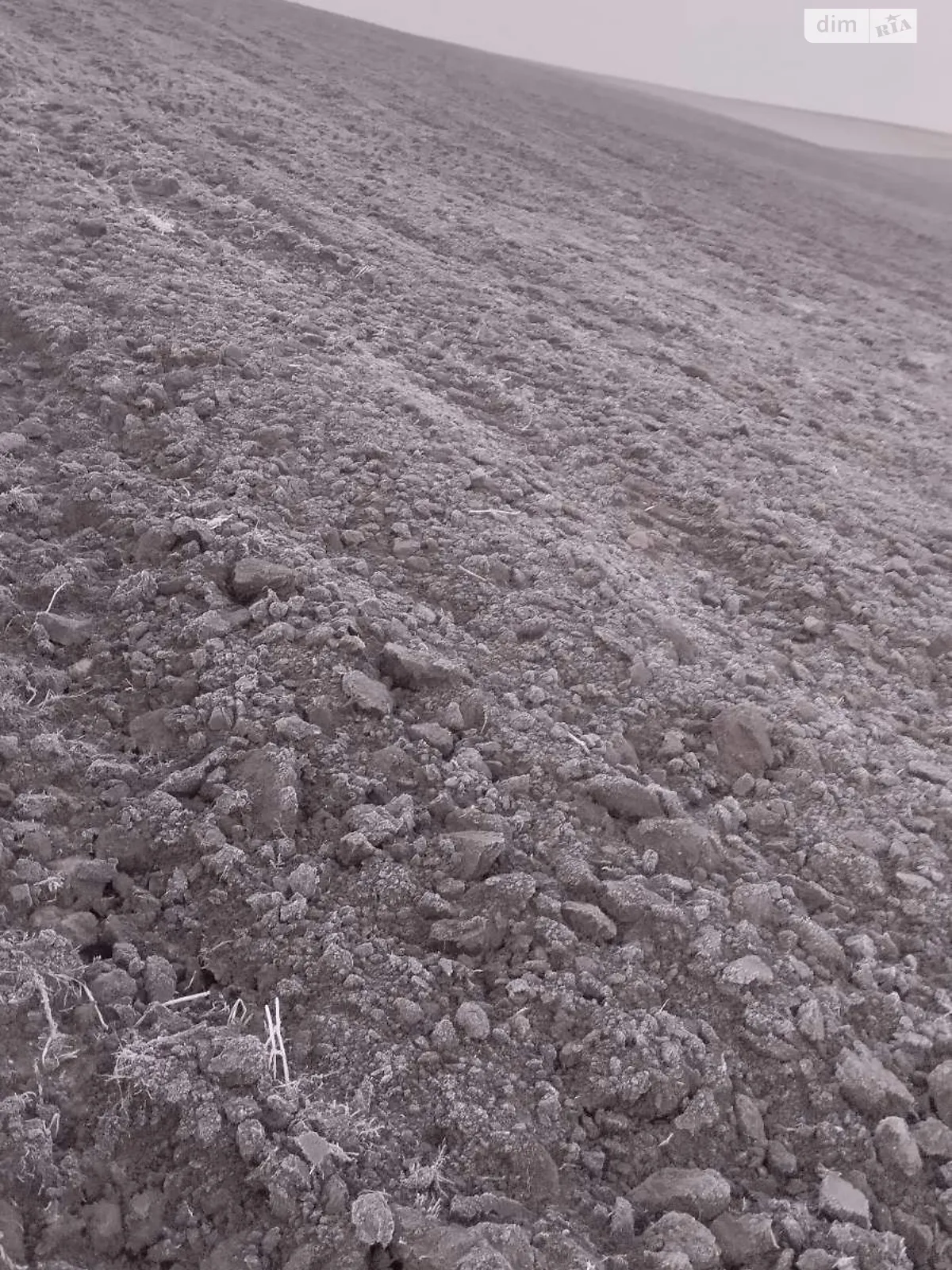 Сдается в аренду земельный участок 10.0011 соток в Ровенской области, цена: 43742 грн - фото 1