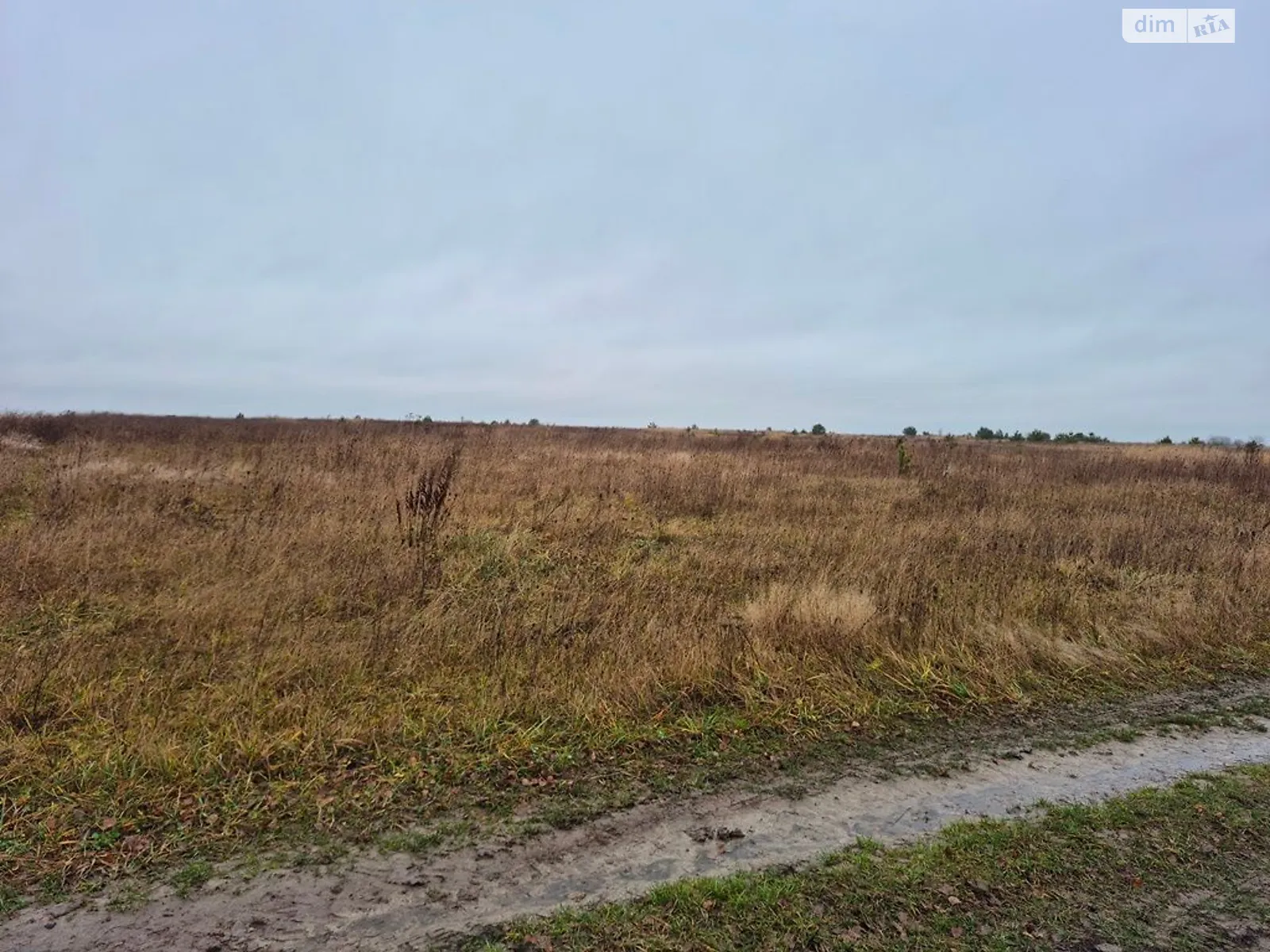 Хорохорин, цена: 17438 грн - фото 1