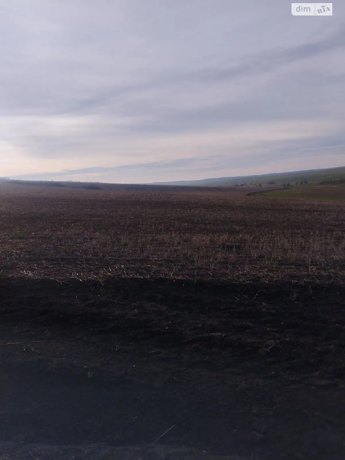 Надречное, цена: 36736 грн - фото 1