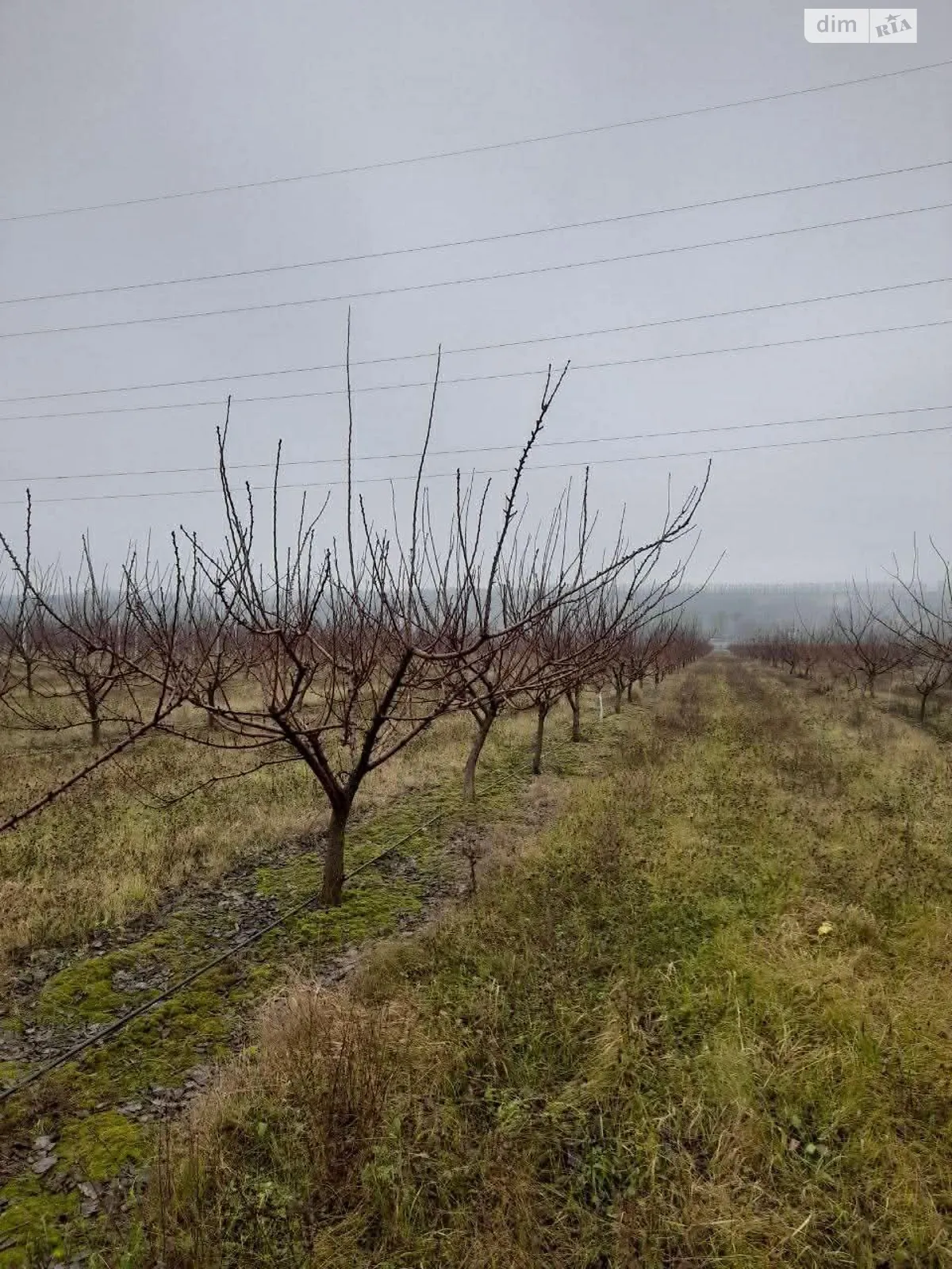Продается земельный участок 24 соток в Винницкой области, цена: 240000 $ - фото 1