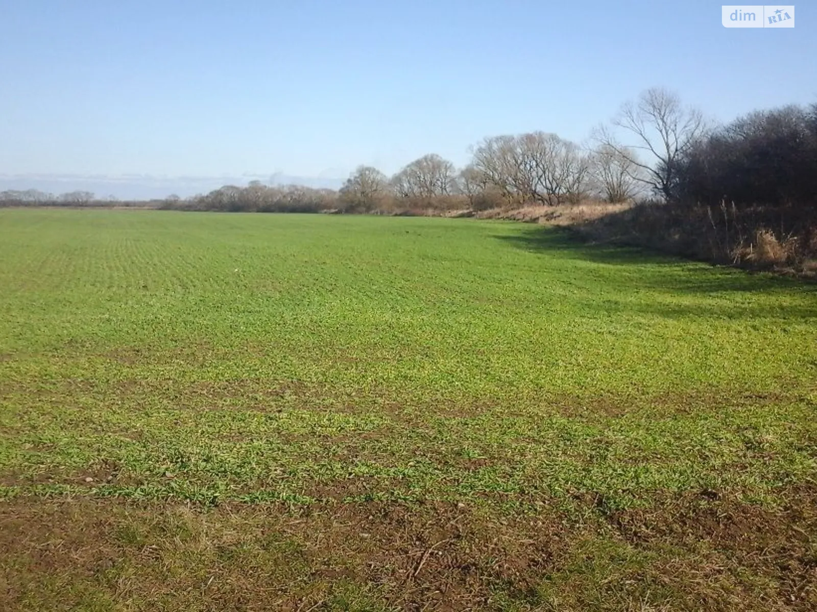 Ольховцы, цена: 60303 грн - фото 1