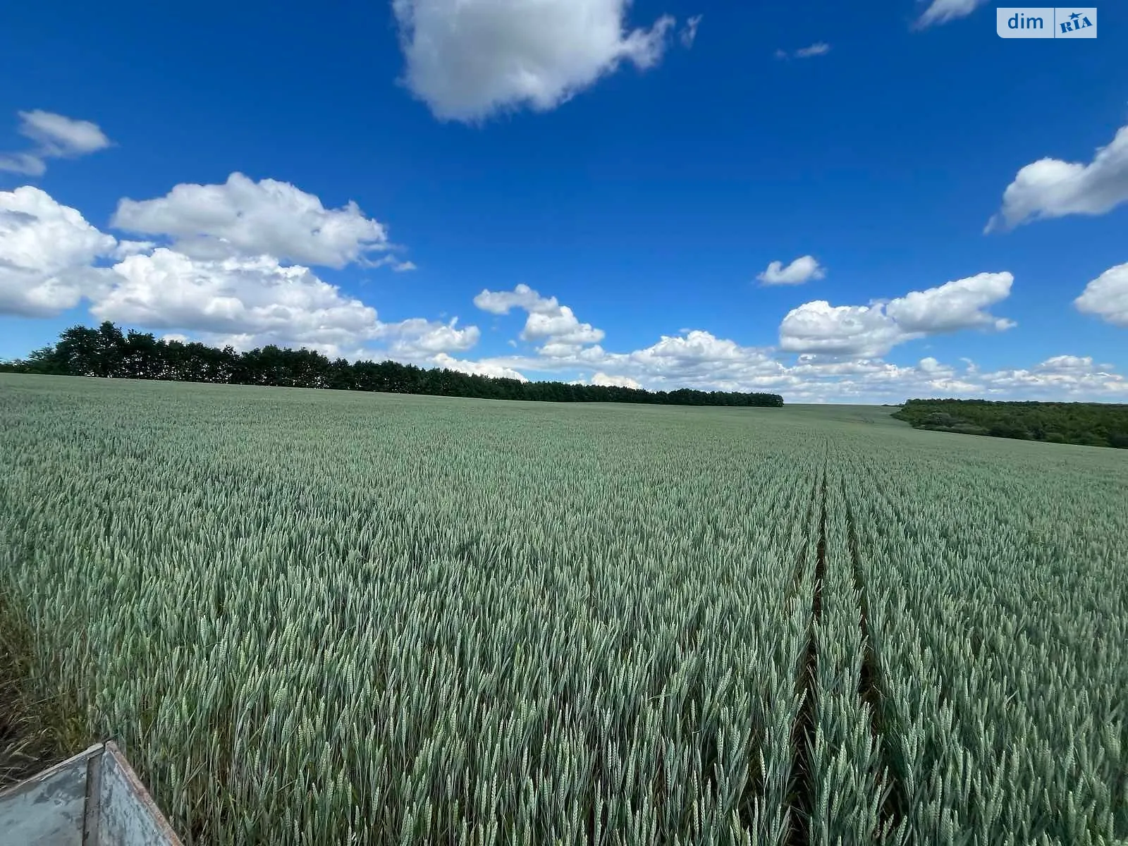 Продается земельный участок 1.6141 соток в Хмельницкой области, цена: 86000 грн - фото 1