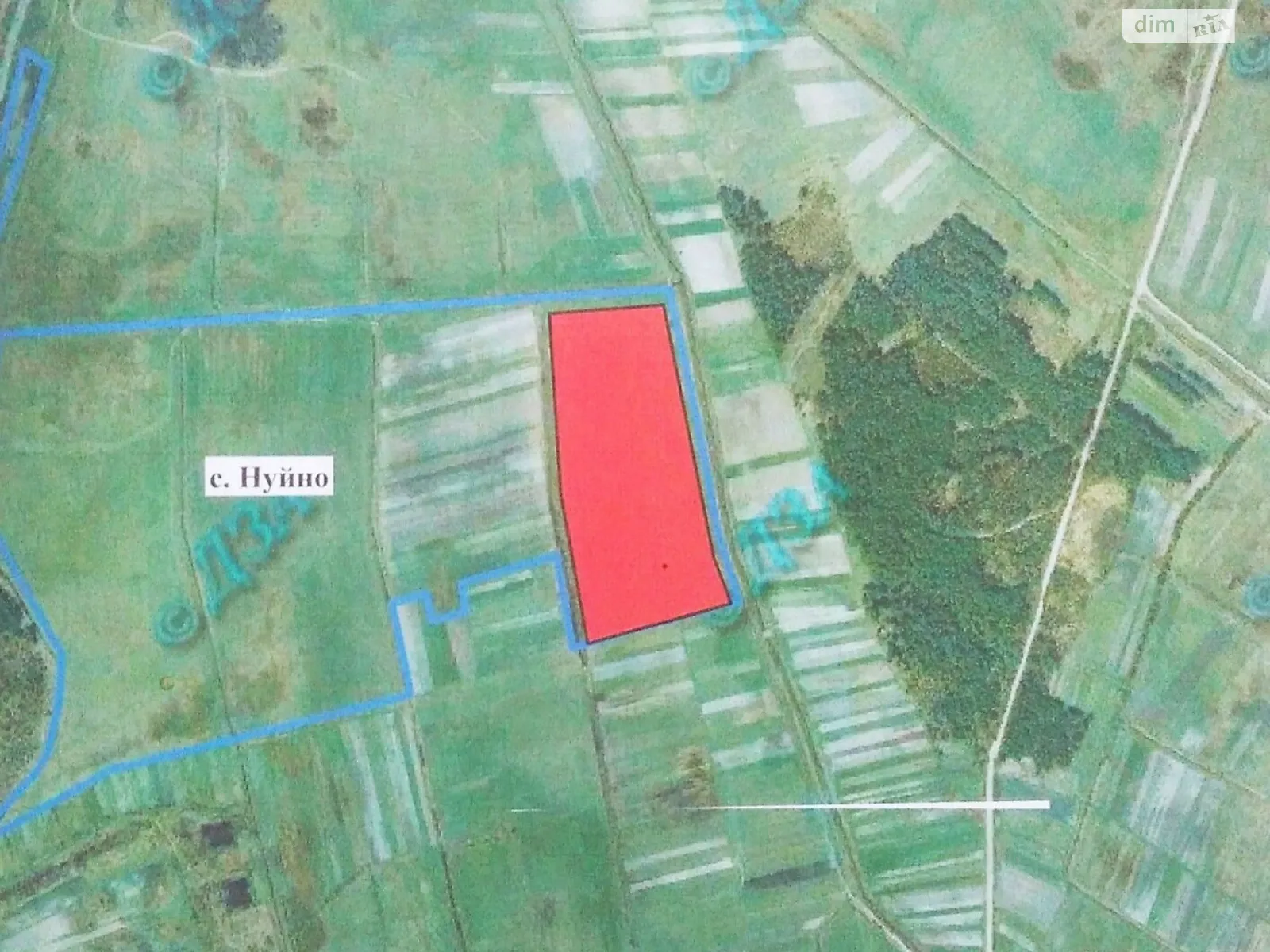 Нуйно, цена: 29736 грн - фото 1