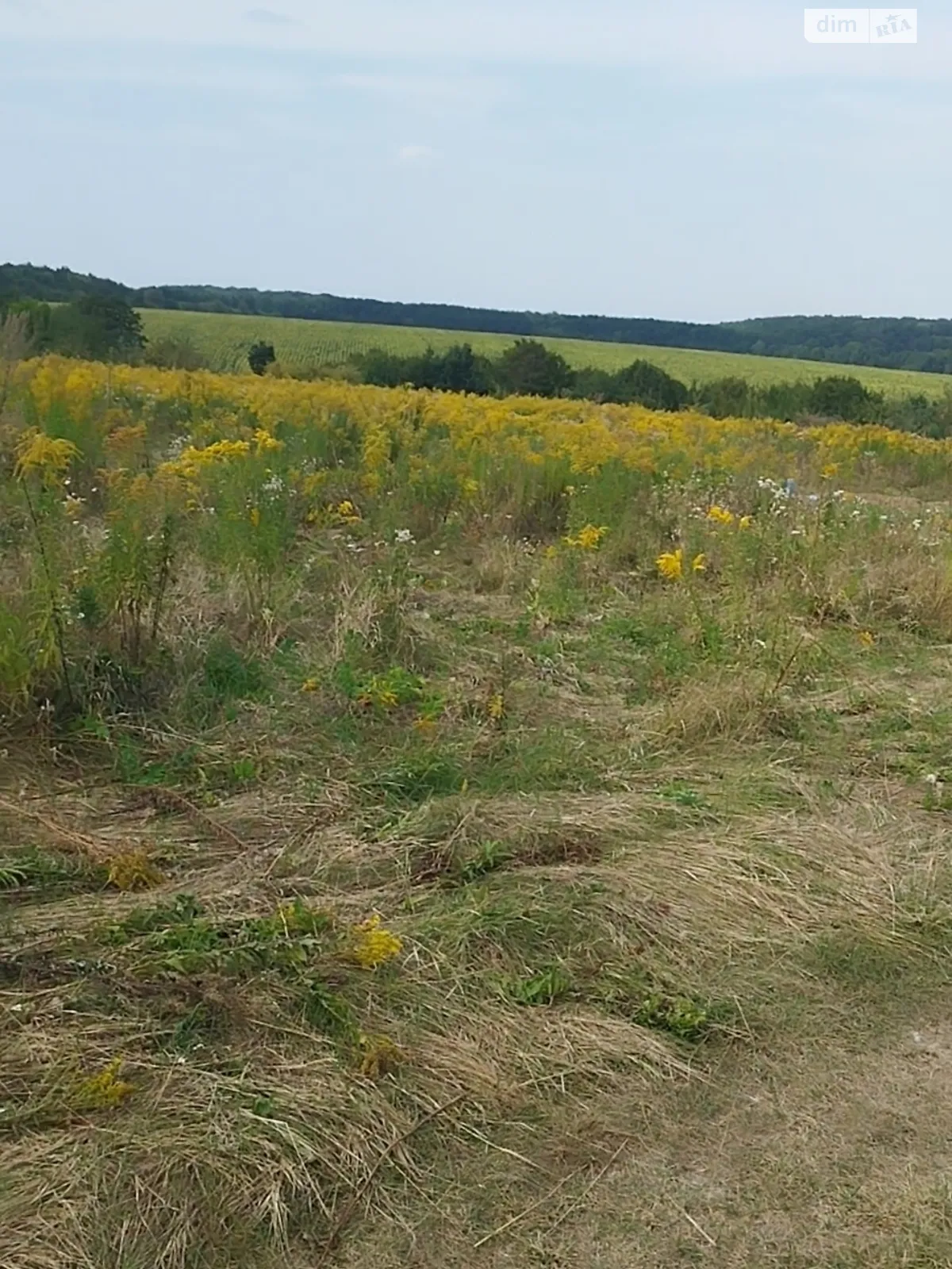 Продается земельный участок 10 соток в Винницкой области, цена: 8000 $ - фото 1