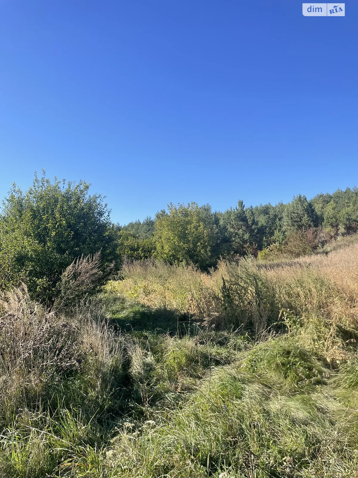 Ивачев Долишний, цена: 3500 $ - фото 1