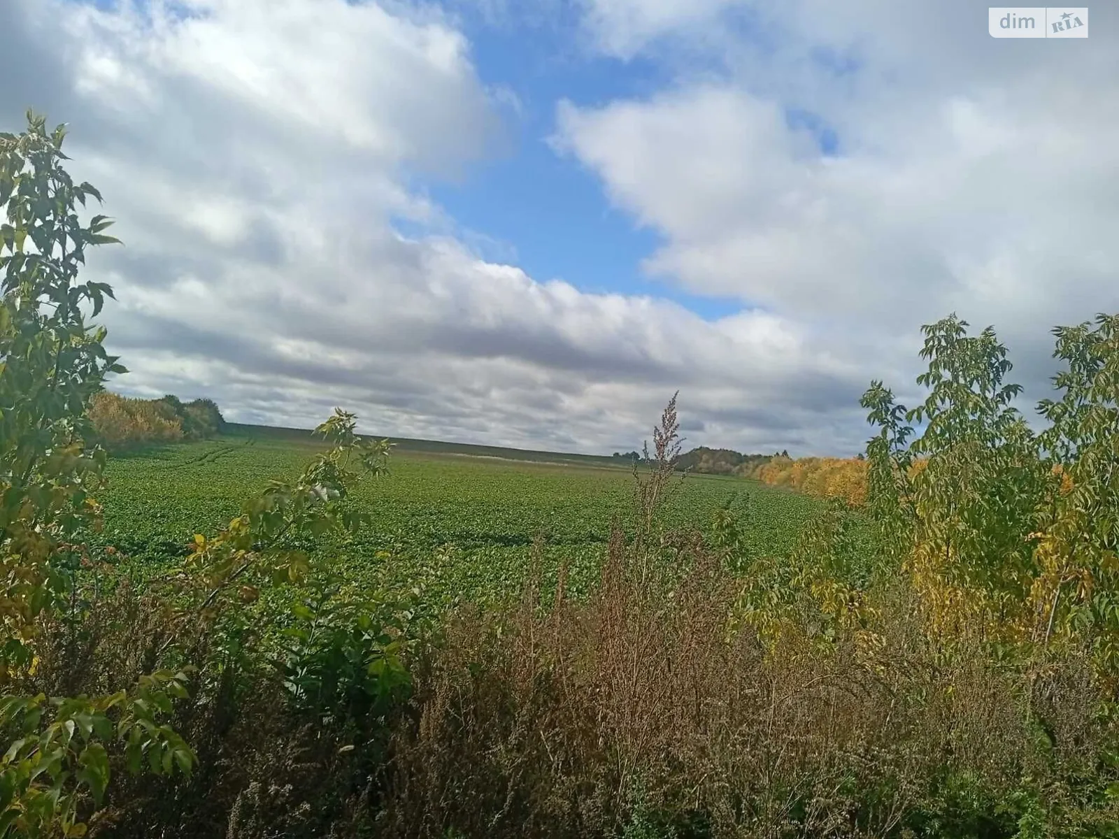 Дворец, цена: 77039 грн - фото 1