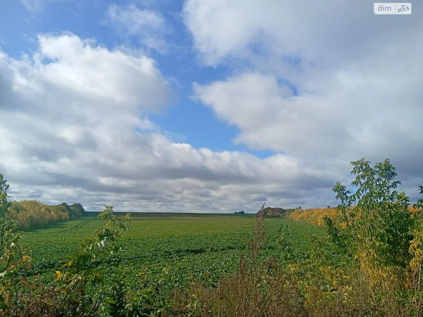 Дворец, цена: 54236 грн - фото 1