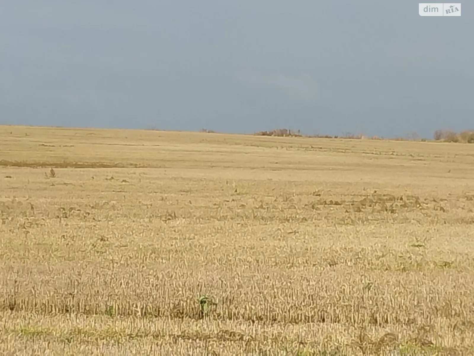 Дворец, цена: 63607 грн - фото 1