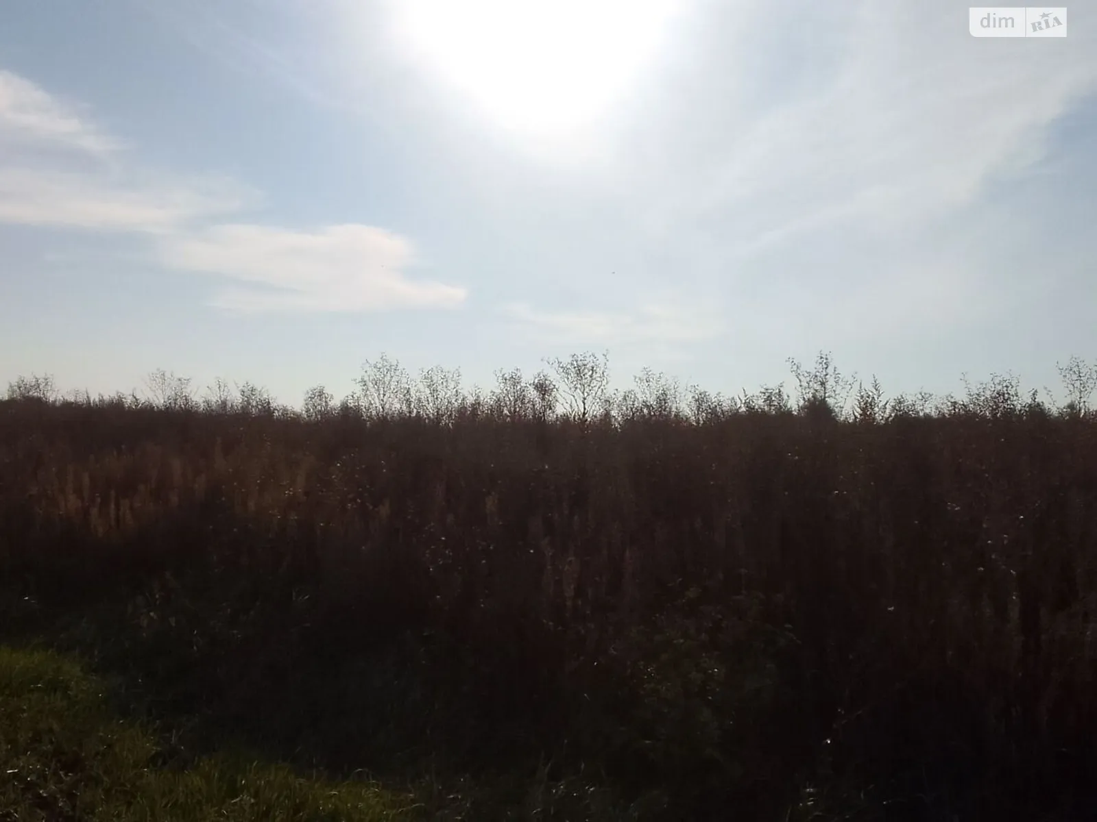 Белево, цена: 20527 грн - фото 1