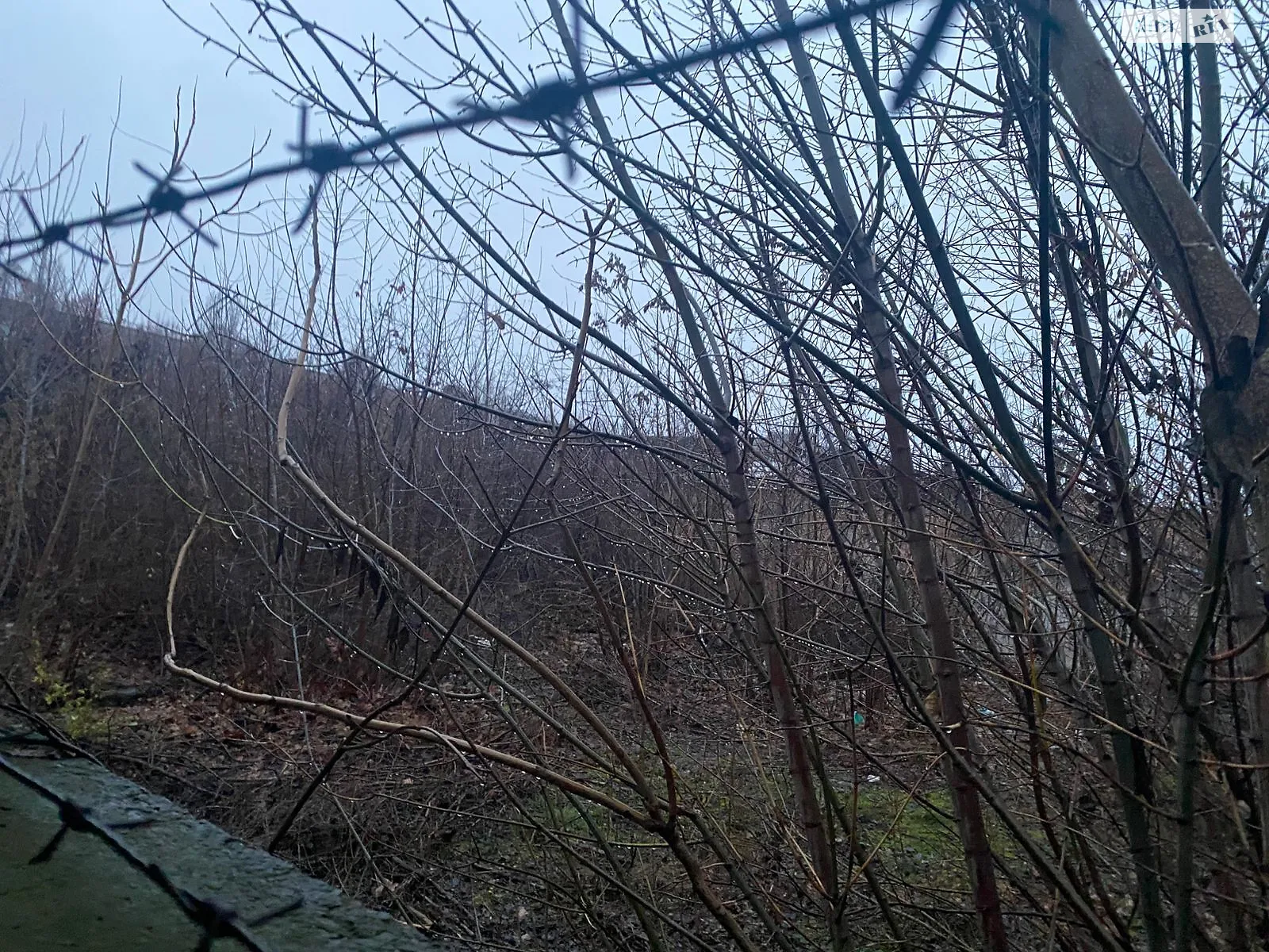 Сдается в аренду земельный участок 0.2044 соток в  области, цена: 64599 грн - фото 1