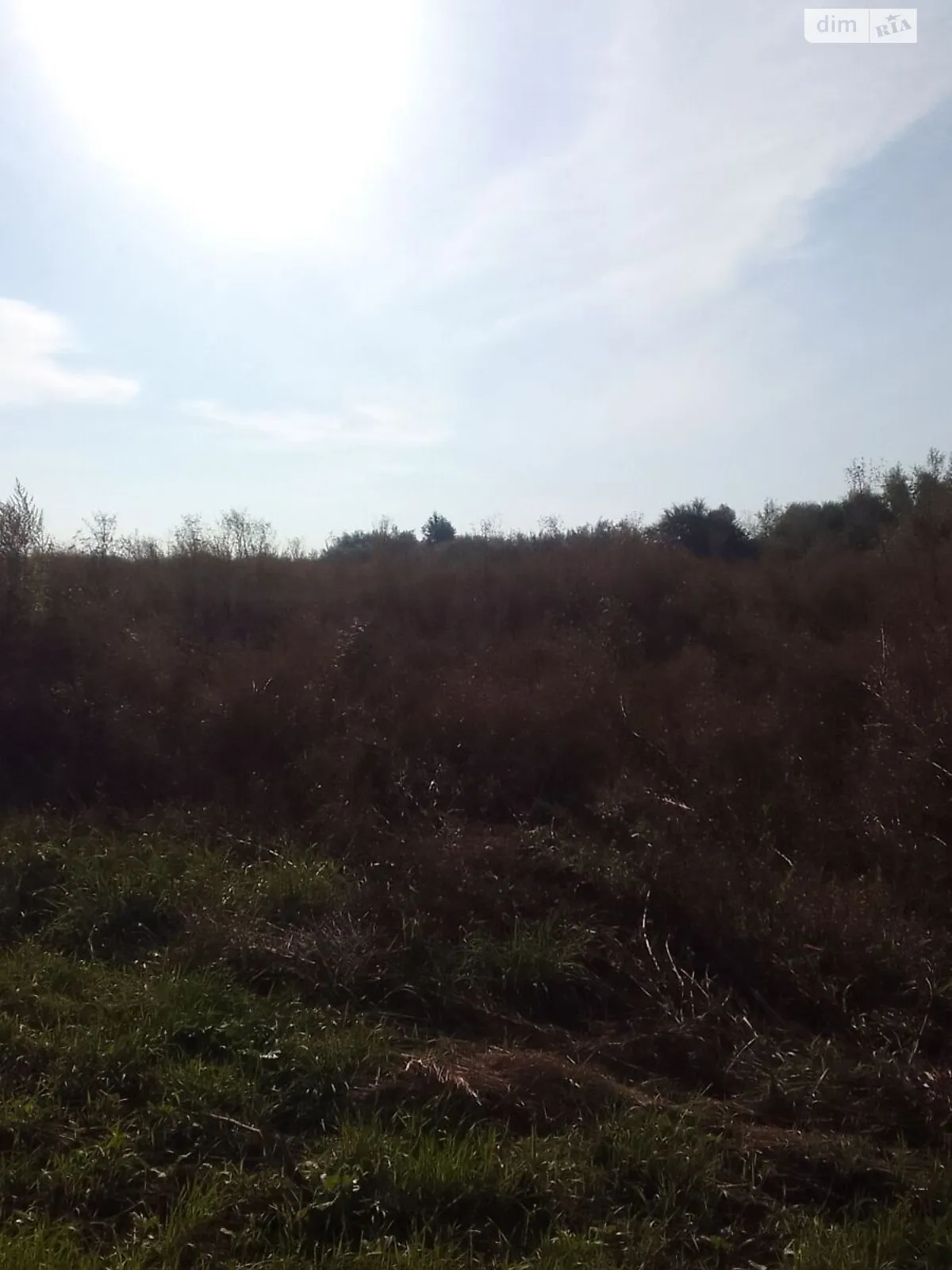 Белево, цена: 36535 грн - фото 1