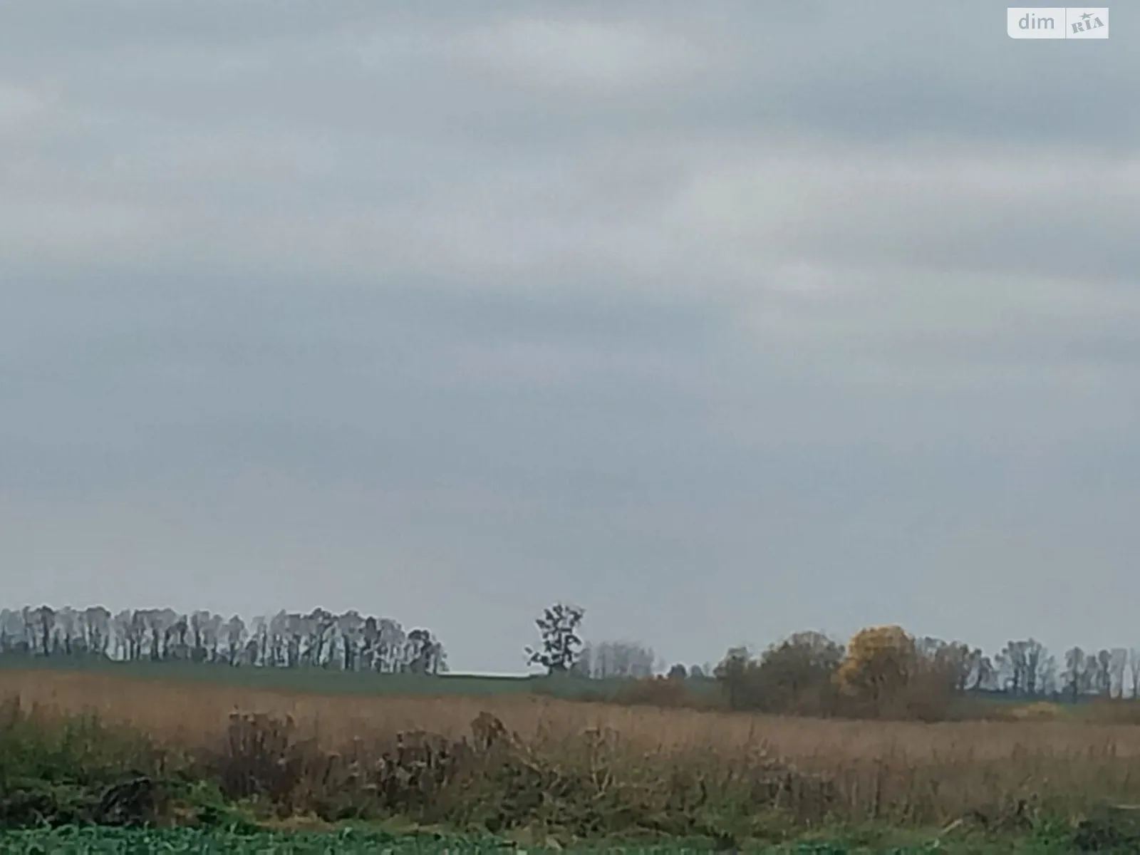 Белево, цена: 47862 грн - фото 1