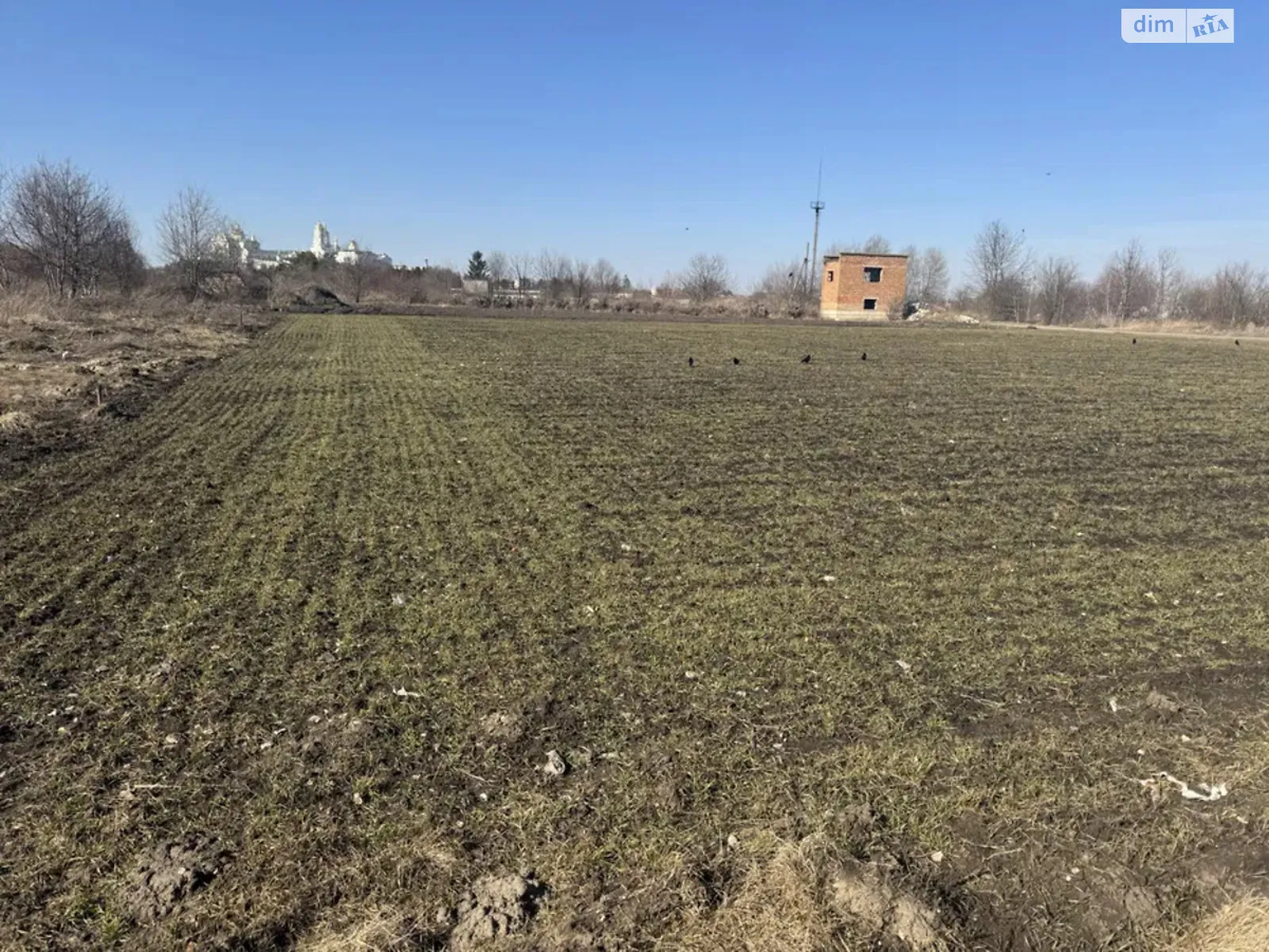 Продается земельный участок 10 соток в Тернопольской области, цена: 16000 $ - фото 1
