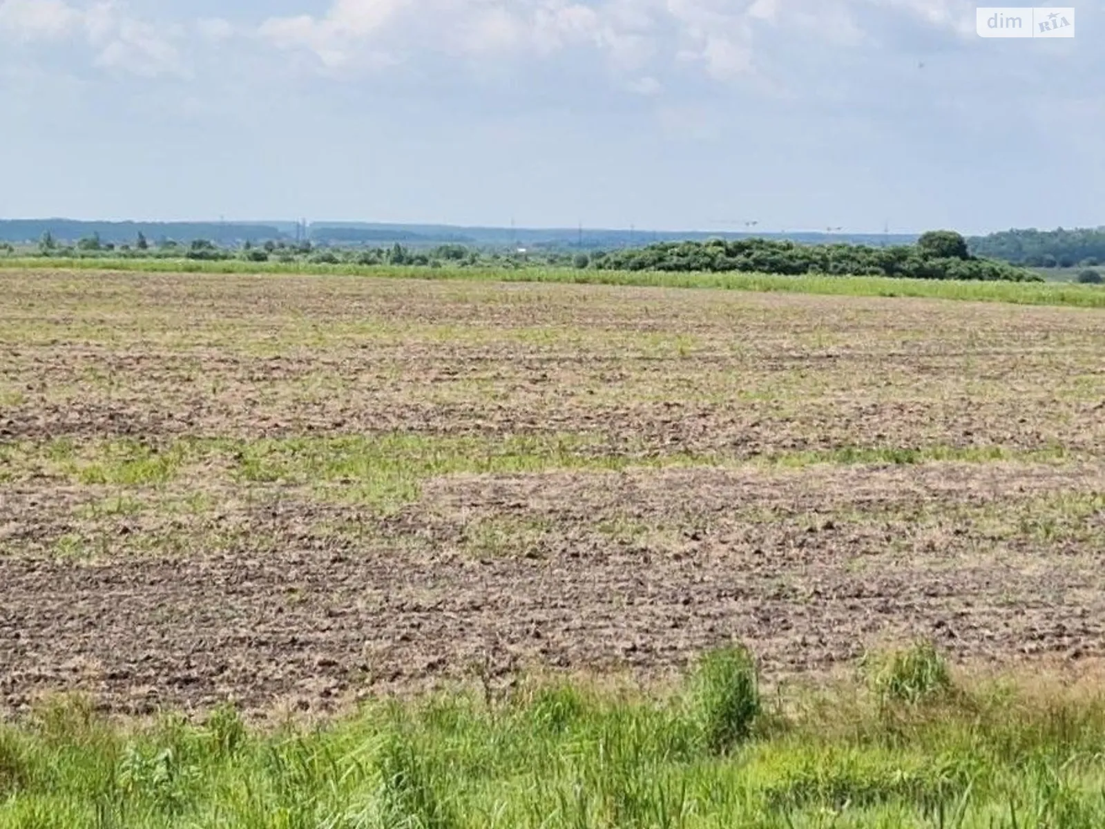 Давыдов, цена: 1575 грн - фото 1