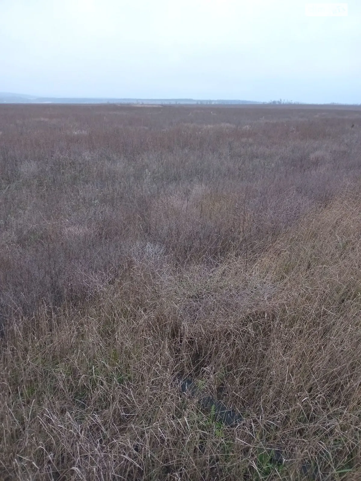 Сдается в аренду земельный участок 11.6319 соток в Харьковской области, цена: 30509 грн - фото 1