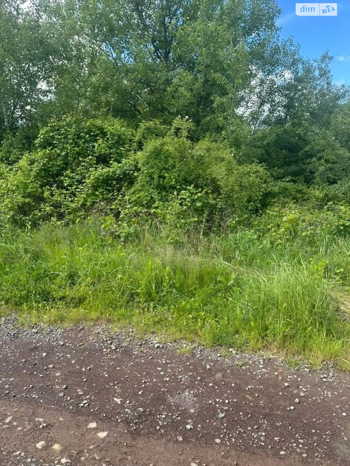 Оноковцы, цена: 30000 $ - фото 1