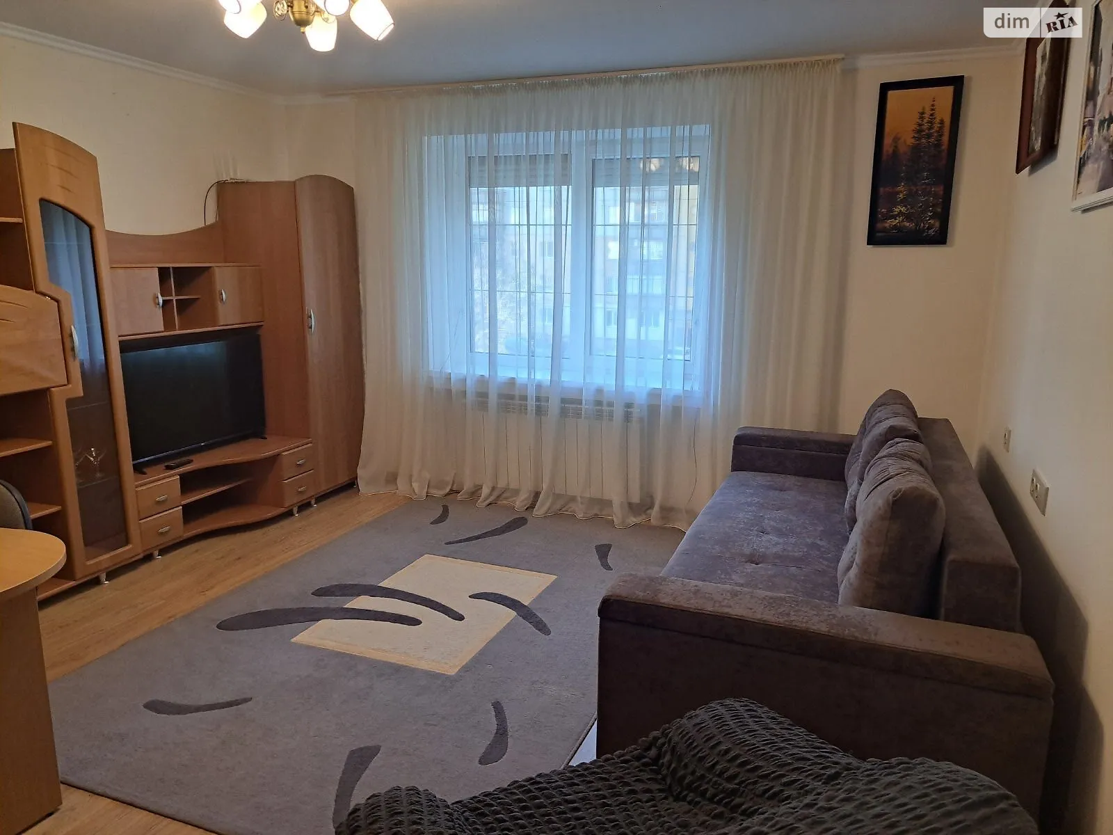 Здається в оренду 1-кімнатна квартира 40 кв. м у Ужгороді, вул. Легоцького, 5 - фото 1