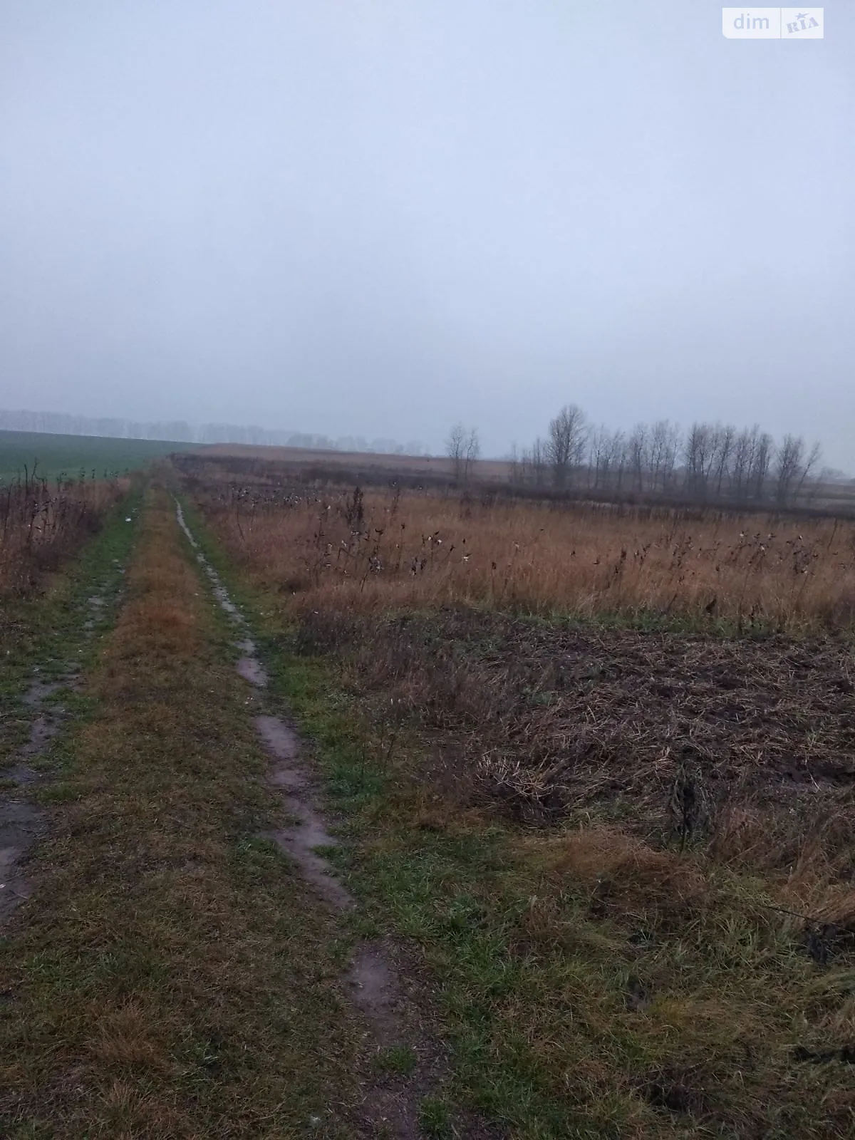 Сдается в аренду земельный участок 13.3802 соток в Киевской области, цена: 280985 грн - фото 1