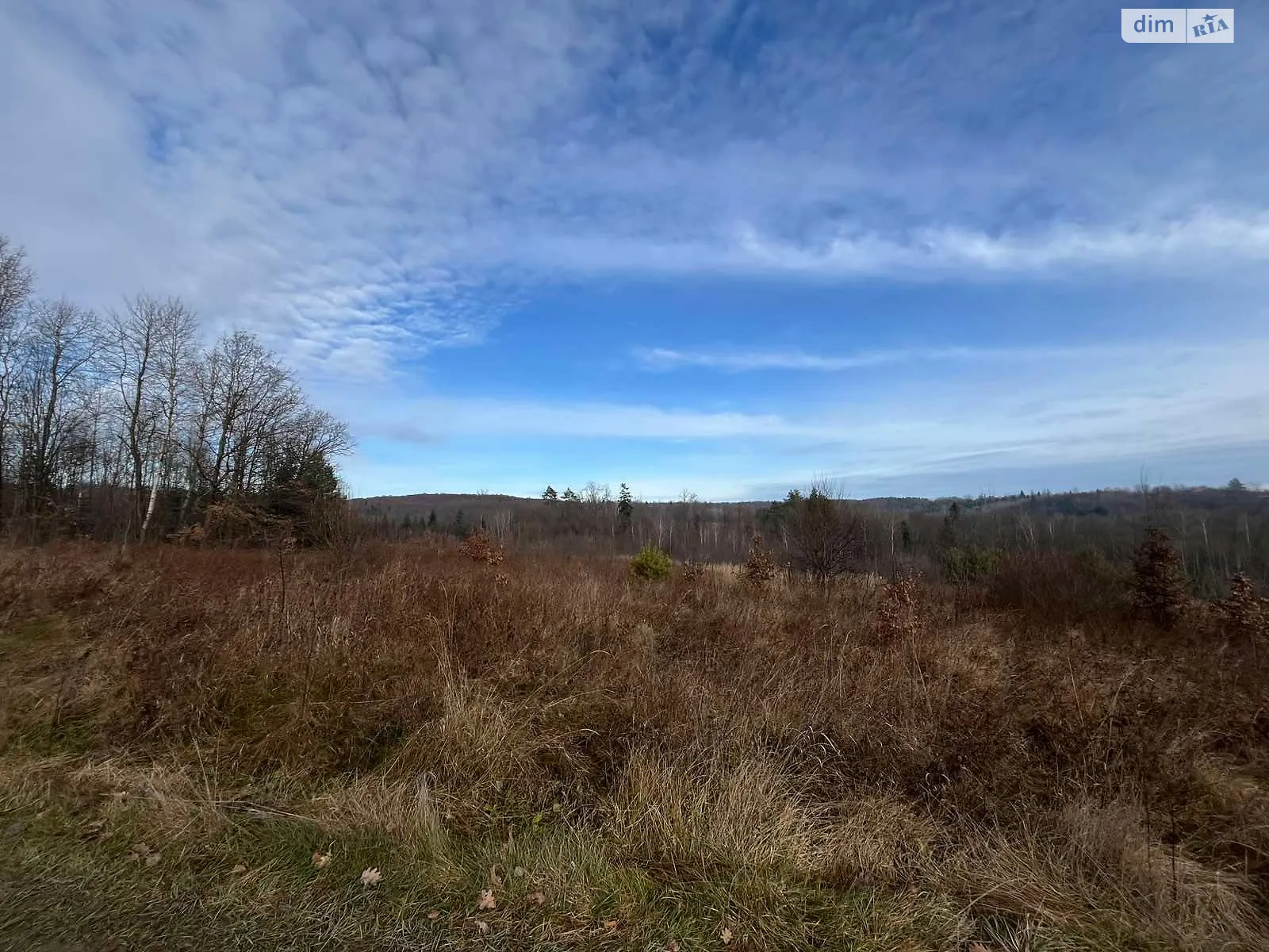 Сдается в аренду земельный участок 1.0359 соток в  области, цена: 1051 грн - фото 1