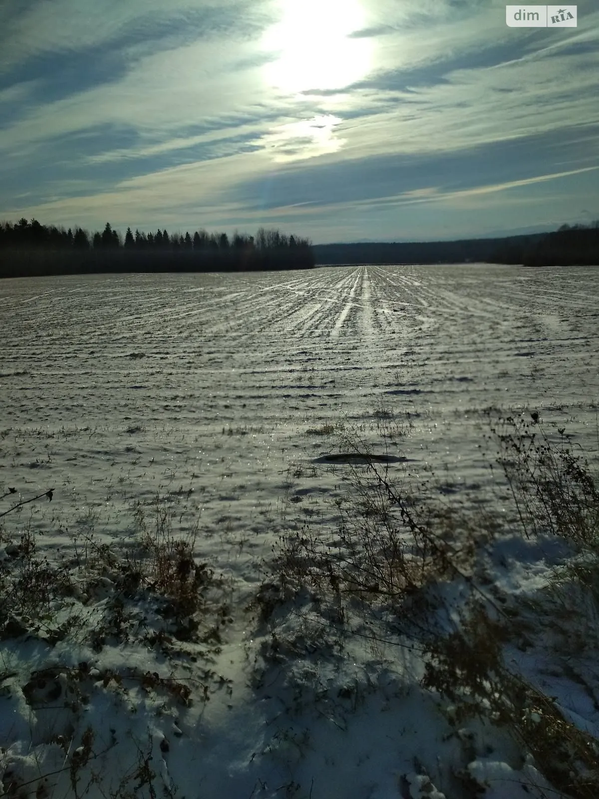 Сдается в аренду земельный участок 10.8386 соток в Ивано-Франковской области, цена: 13054 грн - фото 1