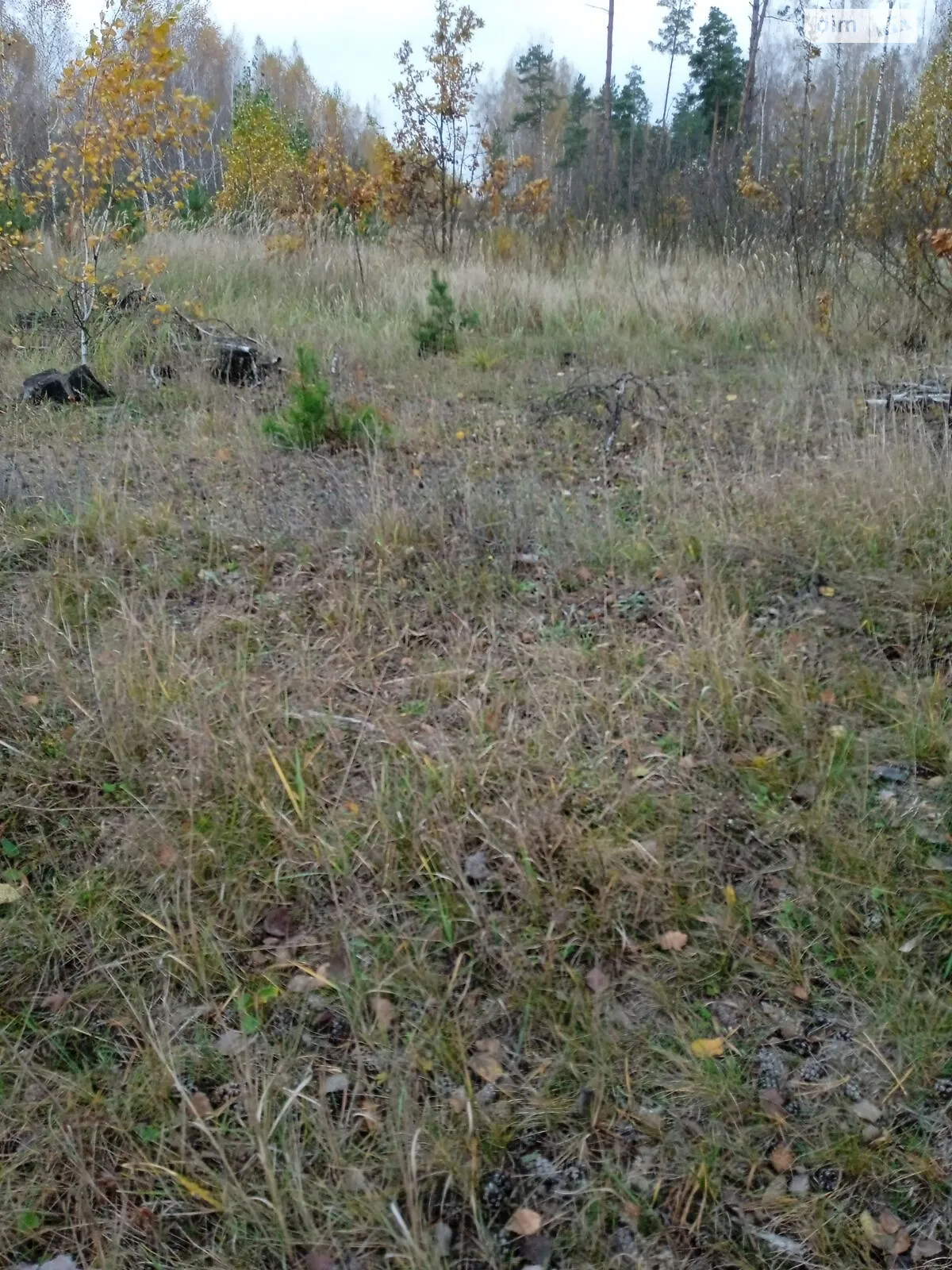 Сдается в аренду земельный участок 9.8778 соток в  области, цена: 15887 грн - фото 1