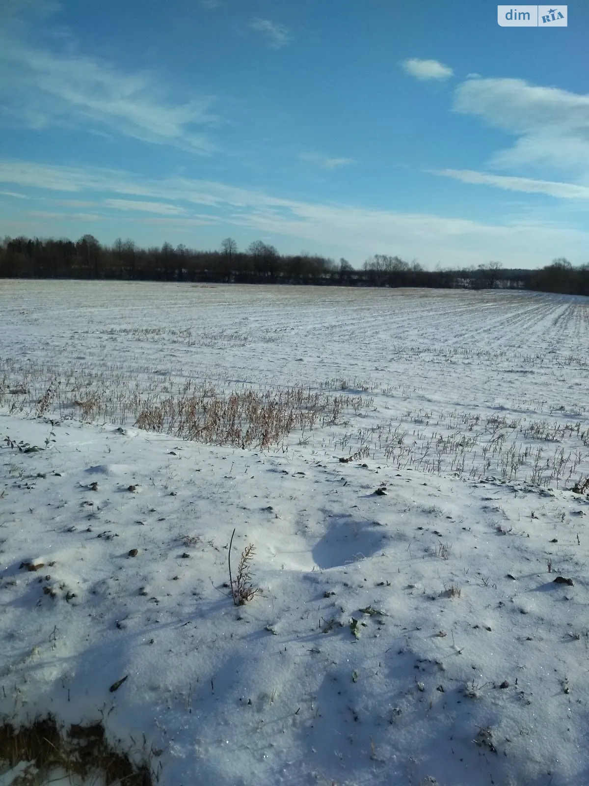 Хмелевка, цена: 20137 грн - фото 1