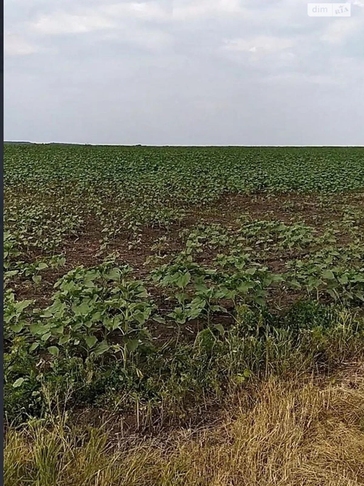 Шатовка, цена: 47841 грн - фото 1