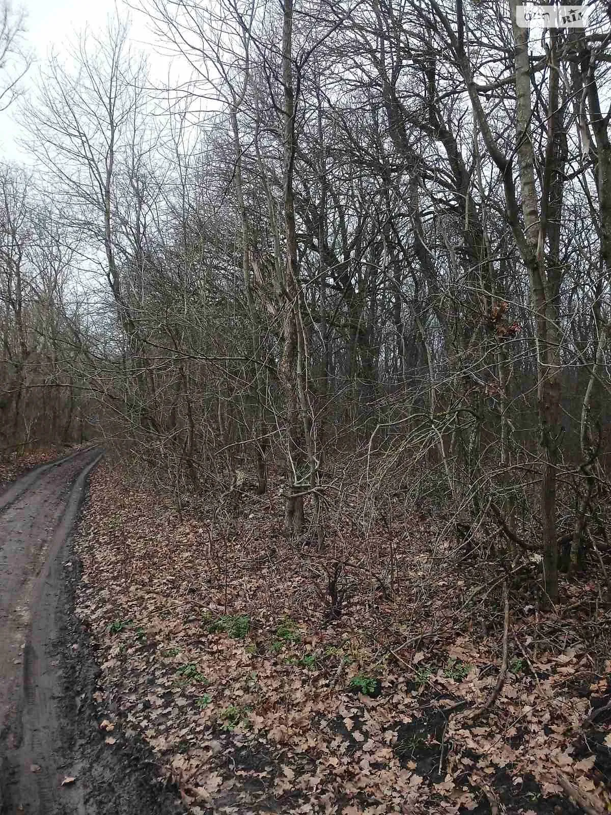 Марянівка, цена: 36070 грн - фото 1