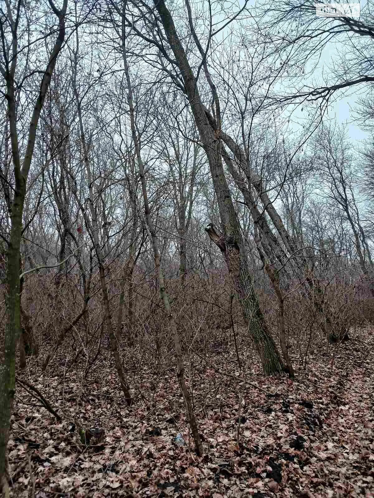 Марьяновка (Чернобай), цена: 15034 грн - фото 1