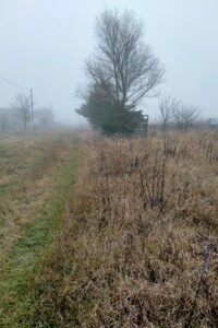 Продаж землі сільськогосподарського призначення, Вінницька, Хижинці, СДТ Писарівський