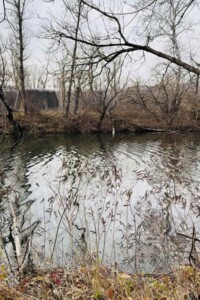 Продаж землі сільськогосподарського призначення, Полтавська, Петрівка (Полтава)