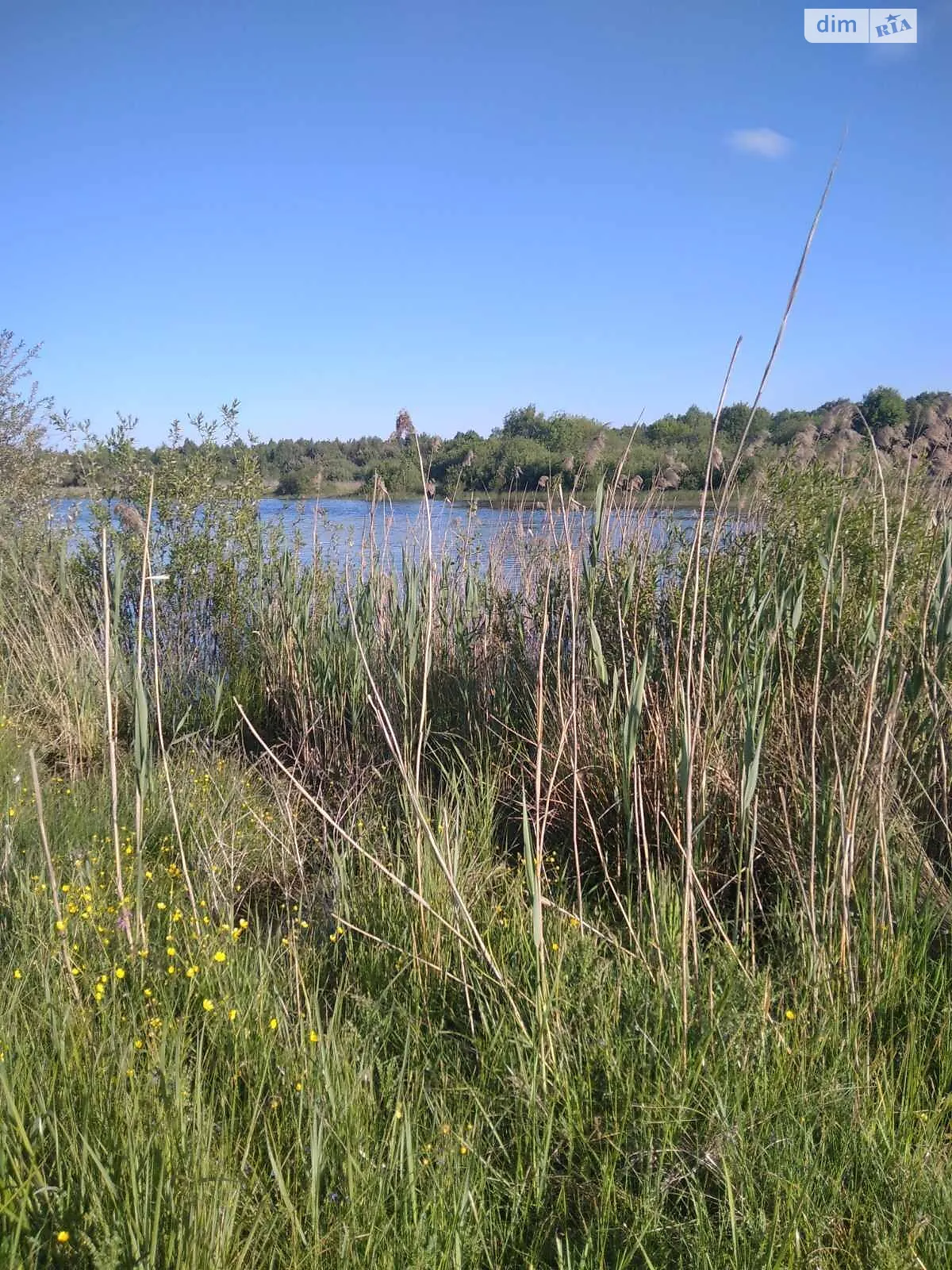 Сдается в аренду земельный участок 3.0176 соток в Волынской области, цена: 6359 грн - фото 1