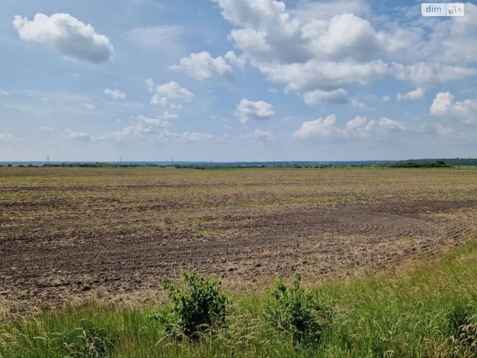 Давыдов, цена: 4651 грн - фото 1