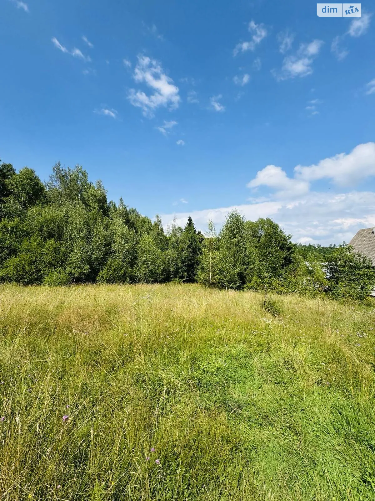 Продается земельный участок 17 соток в Ивано-Франковской области, цена: 11500 $ - фото 1