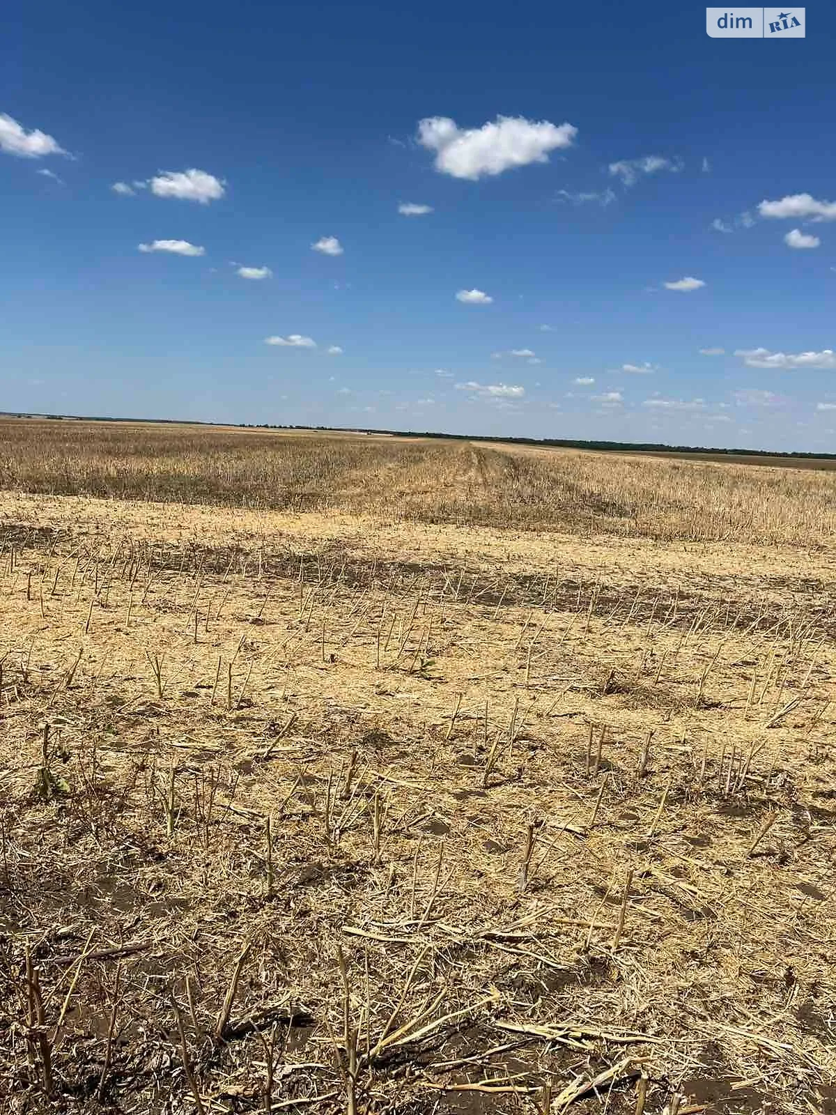 Нове Тарутине, цена: 83425 грн - фото 1