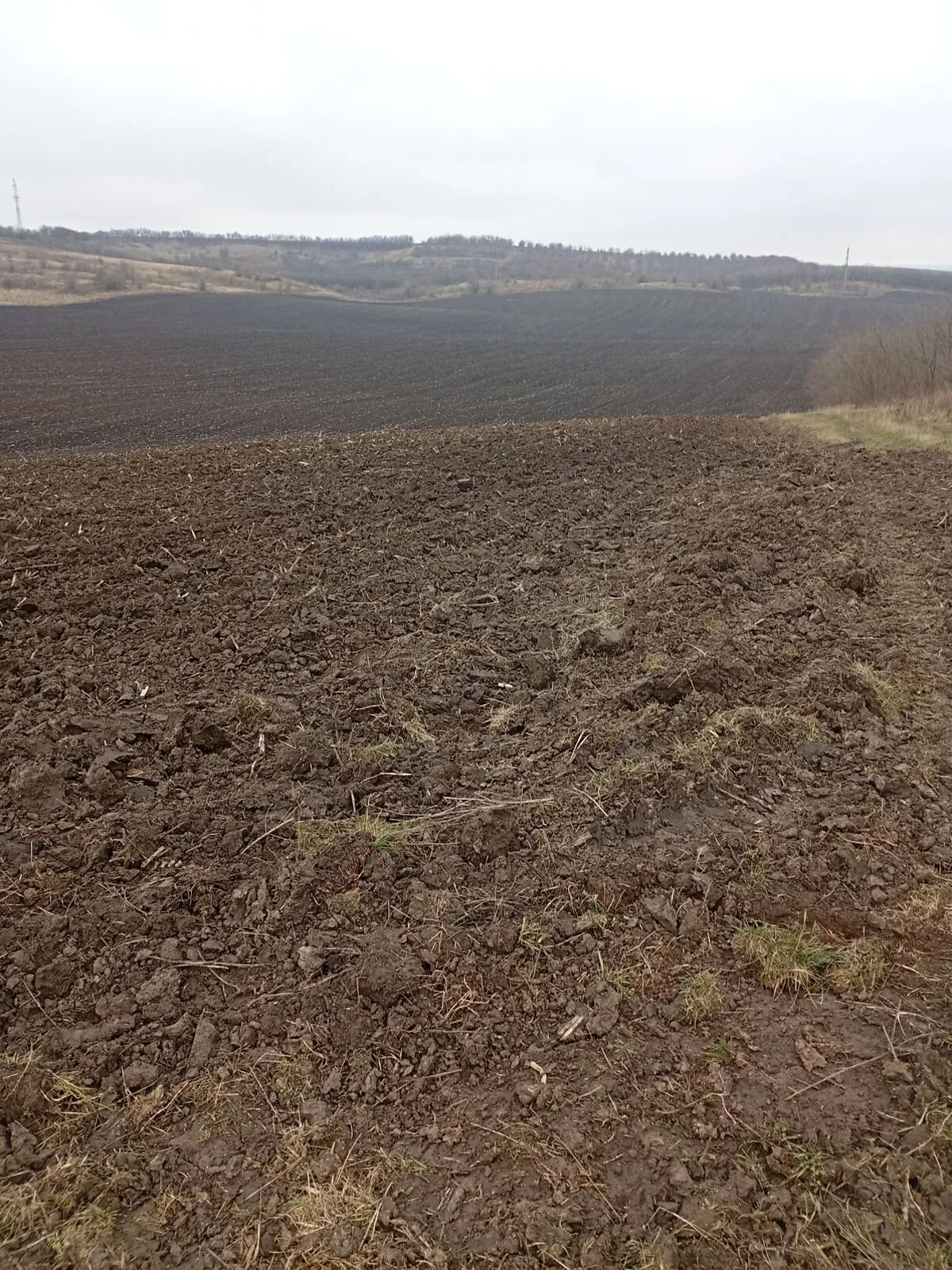 Здається в оренду земельна ділянка 15.5667 соток у  області, цена: 50337 грн - фото 1