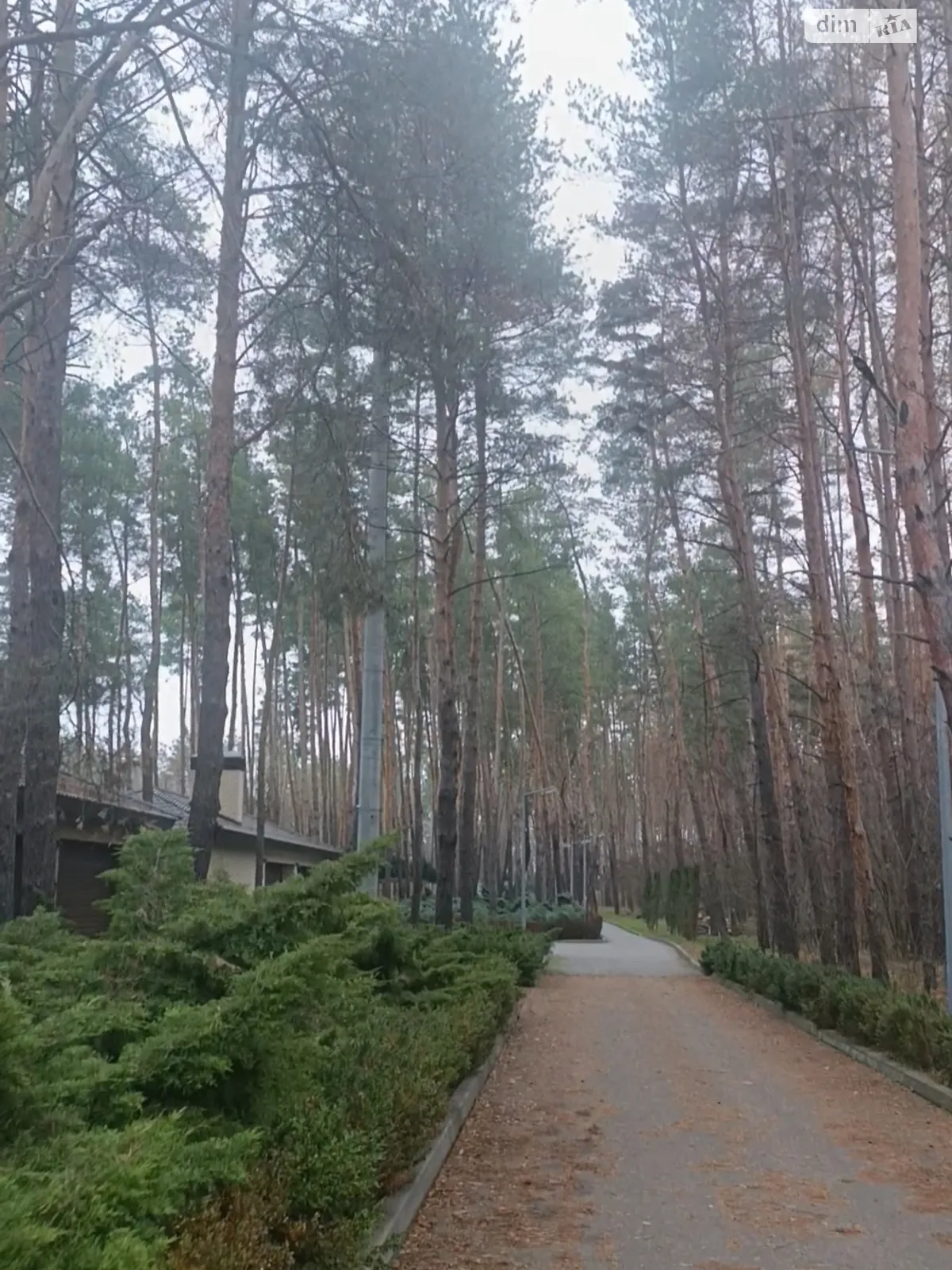 вул. Садова Піщанка (Дніпро), цена: 50000 $ - фото 1