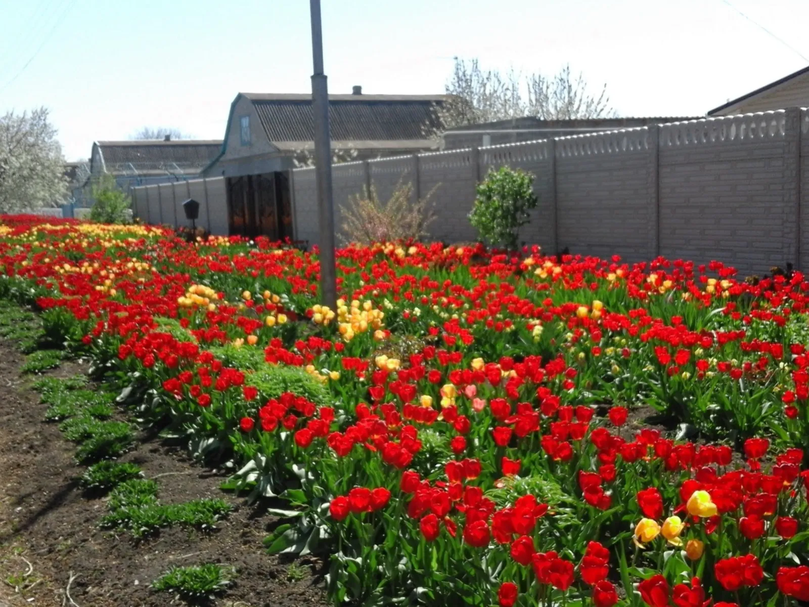 Продается одноэтажный дом 130.9 кв. м с балконом, цена: 34000 $ - фото 1