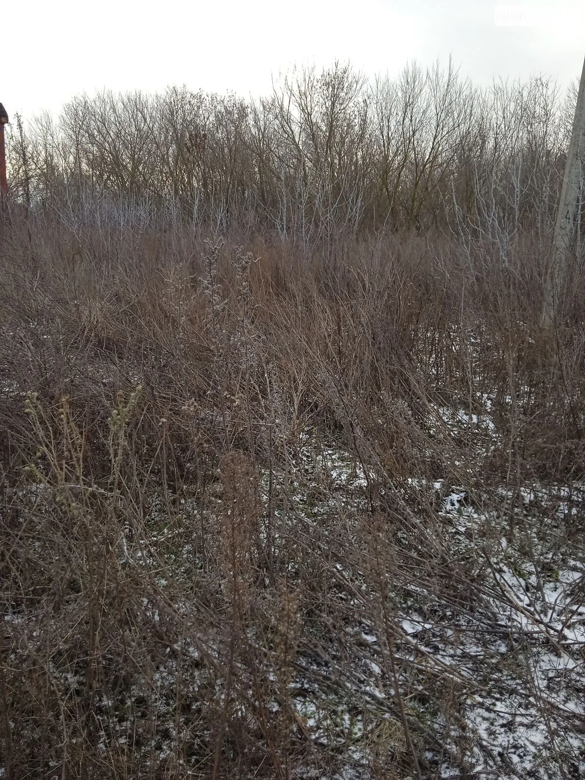 Здається в оренду земельна ділянка 0.05 соток у Сумській області, цена: 203 грн - фото 1