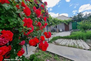 Сниму дом долгосрочно Днепропетровской области