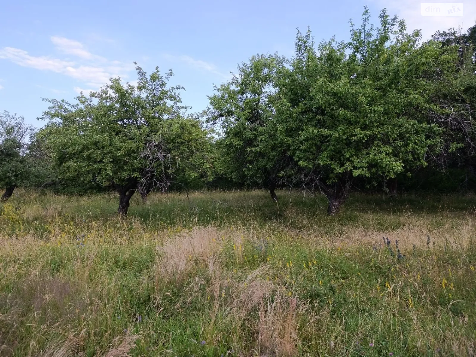 Здається в оренду земельна ділянка 16.9942 соток у Хмельницькій області, цена: 35372 грн - фото 1