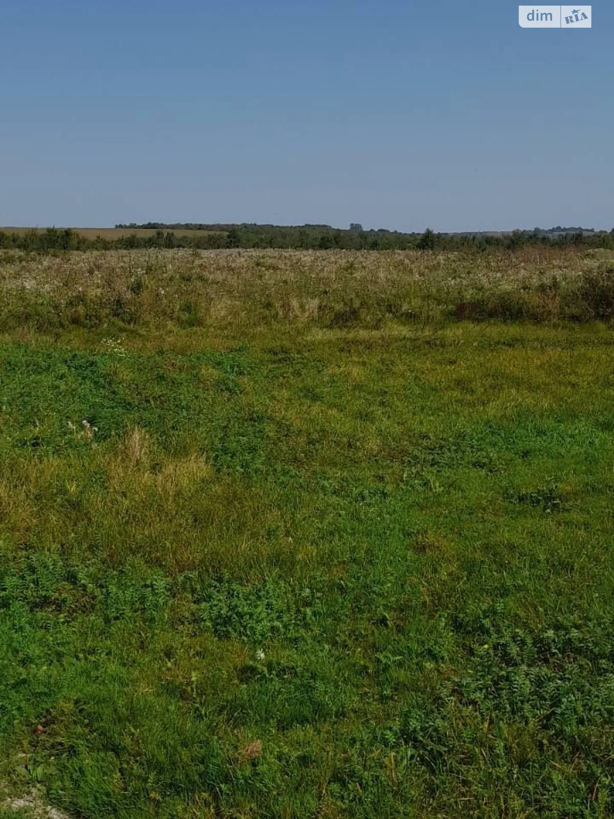 Сдается в аренду земельный участок 5.8407 соток в Львовской области, цена: 11239 грн - фото 1