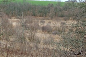 Аренда участков