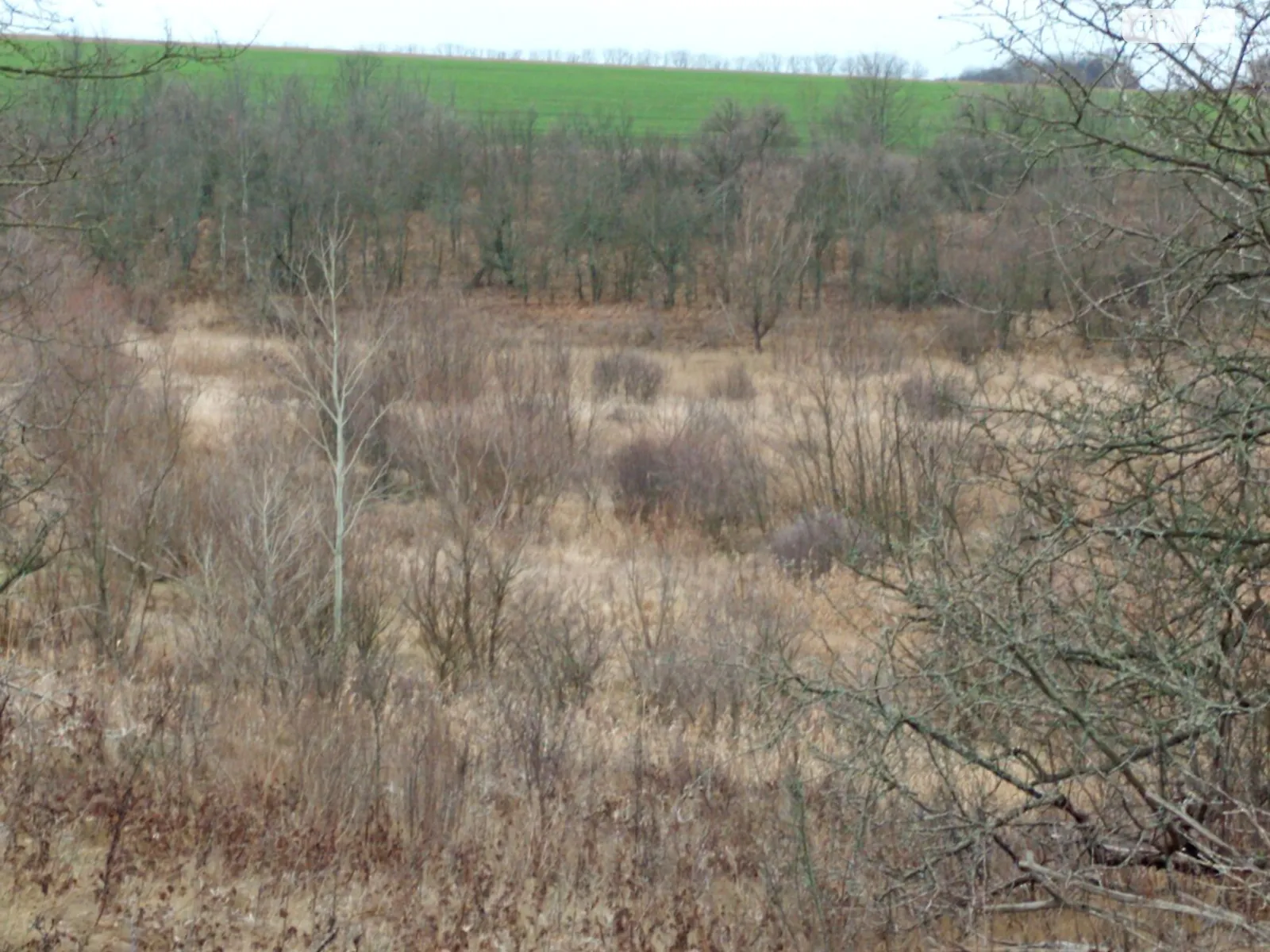 Сдается в аренду земельный участок 5.6452 соток в области, цена: 25903 грн - фото 1